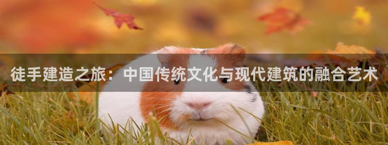 多多28资讯官网入口：徒手建造之旅：中国传统文化与现代建筑的融合艺术