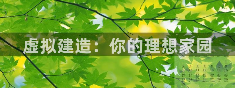 多多28社：虚拟建造：你的理想家园