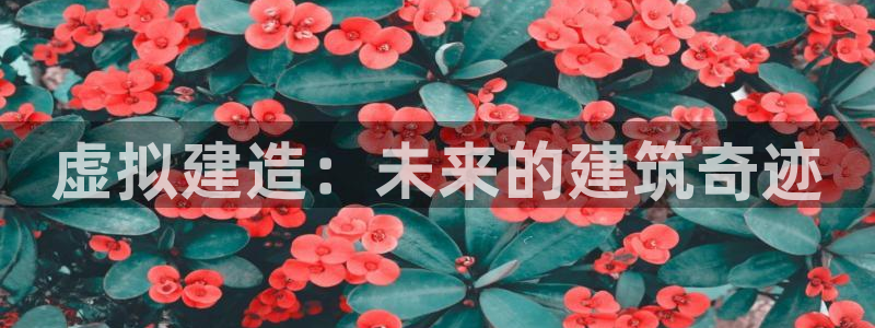 亚洲多多28跌：虚拟建造：未来的建筑奇迹