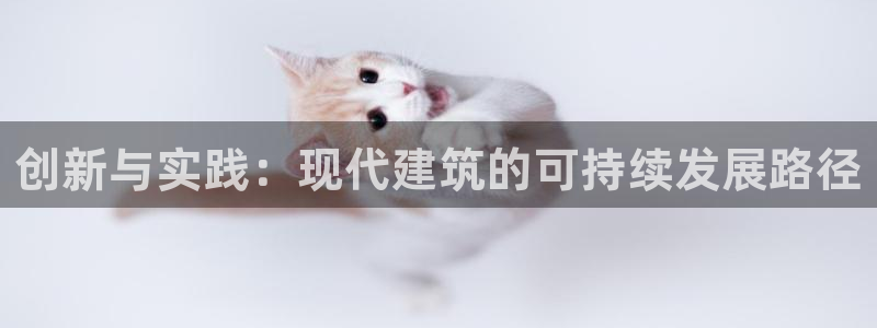 多多28官：创新与实践：现代建筑的可持续发展路径