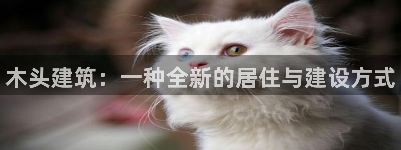 多多28垫付金额：木头建筑：一种全新的居住与建设方式