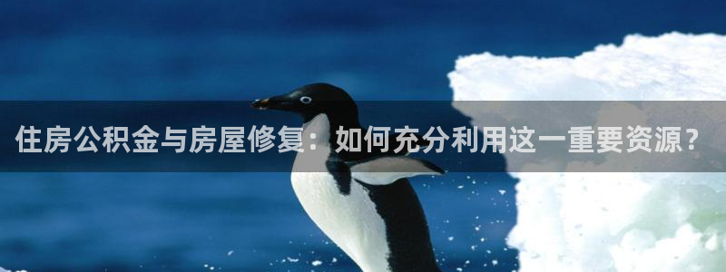 多多28资讯官网入口：住房公积金与房屋修复：如何充分利用这一重要资源？