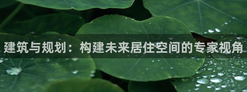多多28简介图片：建筑与规划：构建未来居住空间的专家视角