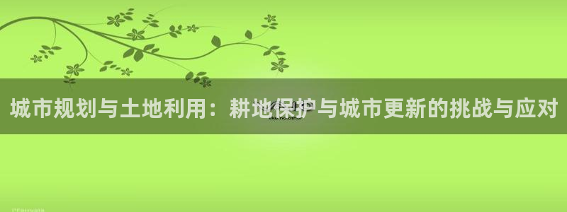 多多28游戏上分地址：城市规划与土地利用：耕地保护与城市更新的挑战与应对