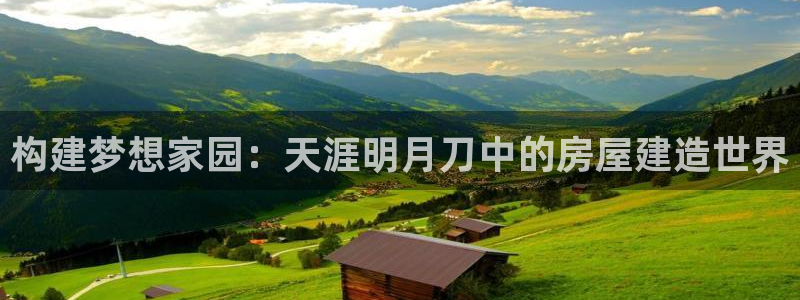 多多28情报：构建梦想家园：天涯明月刀中的房屋建造世界