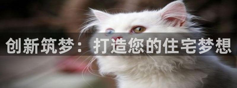 多多28网：创新筑梦：打造您的住宅梦想