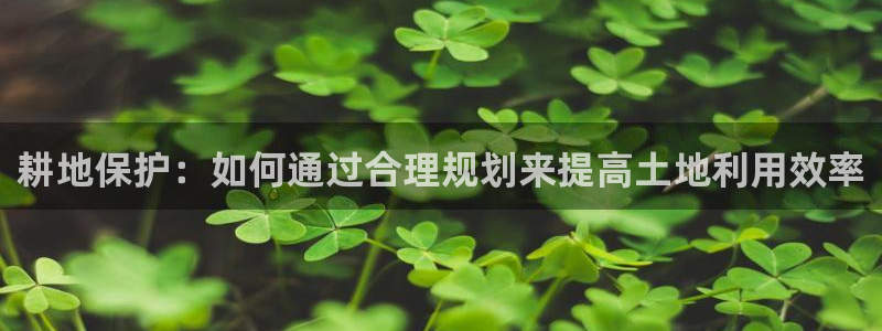 多多28客服：耕地保护：如何通过合理规划来提高土地利用效率