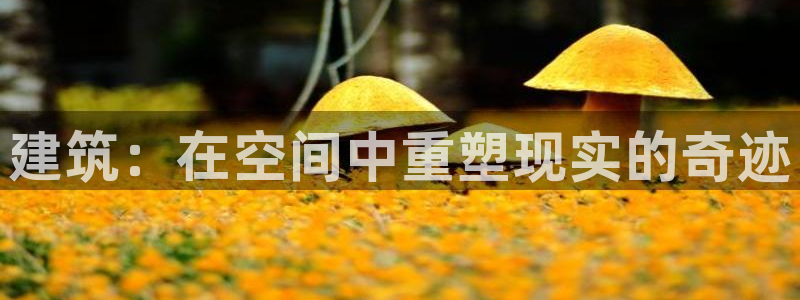 多多28赛：建筑：在空间中重塑现实的奇迹