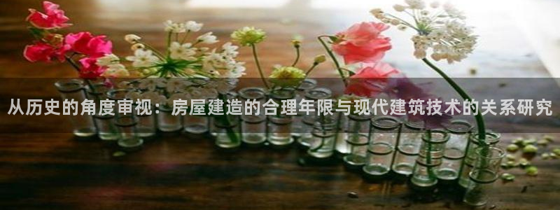 多多28系统：从历史的角度审视：房屋建造的合理年限与现代建筑技术的关系研究