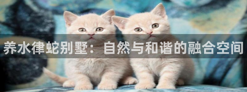 多多28中国：养水律蛇别墅：自然与和谐的融合空间