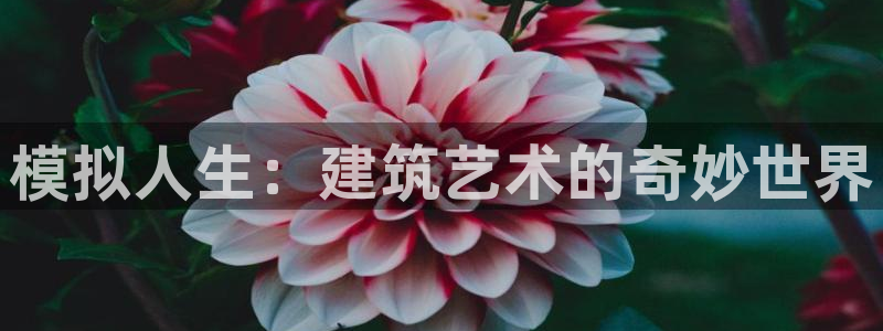 多多28游戏软件：模拟人生：建筑艺术的奇妙世界