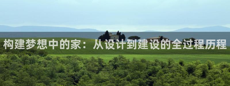 多多28软件：构建梦想中的家：从设计到建设的全过程历程
