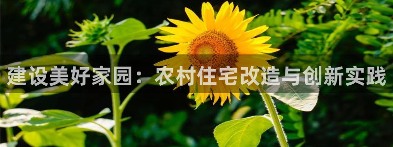 多多28理财logo：建设美好家园：农村住宅改造与创新实践
