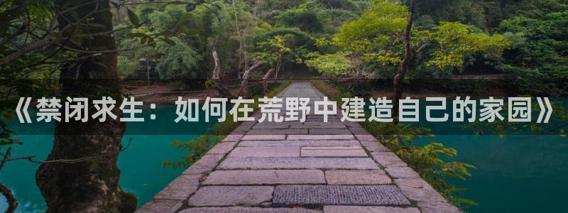 多多28币：《禁闭求生：如何在荒野中建造自己的家园》