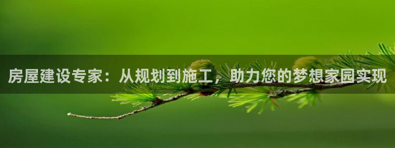 多多28赛：房屋建设专家：从规划到施工，助力您的梦想家园实现