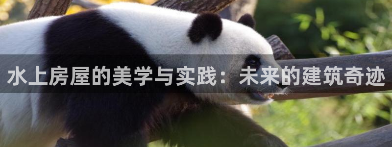 多多28游戏大厅下载：水上房屋的美学与实践：未来的建筑奇迹
