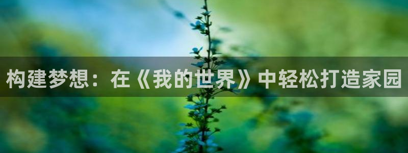 多多28大厅有挂吗：构建梦想：在《我的世界》中轻松打造家园
