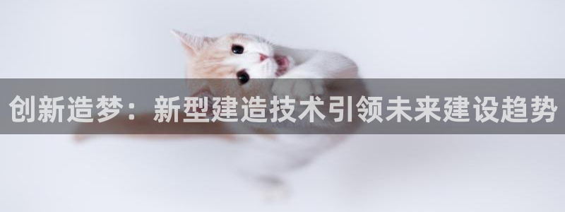 多多28客服中心：创新造梦：新型建造技术引领未来建设趋势
