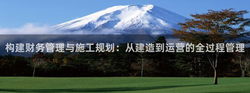 多多28登录：构建财务管理与施工规划：从建造到运营的全过程管理