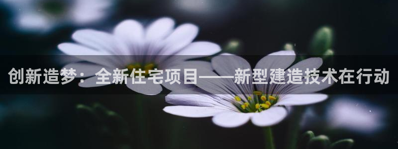 多多28系统：创新造梦：全新住宅项目——新型建造技术在行动