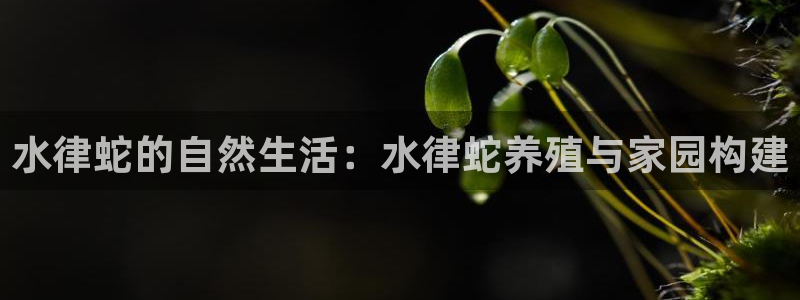 多多28系统：水律蛇的自然生活：水律蛇养殖与家园构建