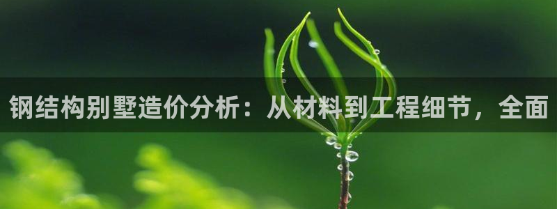 多多28垫付金额：钢结构别墅造价分析：从材料到工程细节，全面