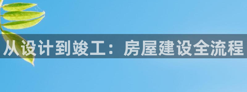 多多28在线：从设计到竣工：房屋建设全流程