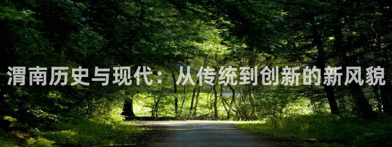 怎么下载多多28大厅：渭南历史与现代：从传统到创新的新风貌