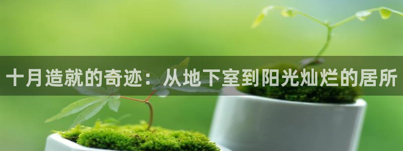 多多28登录