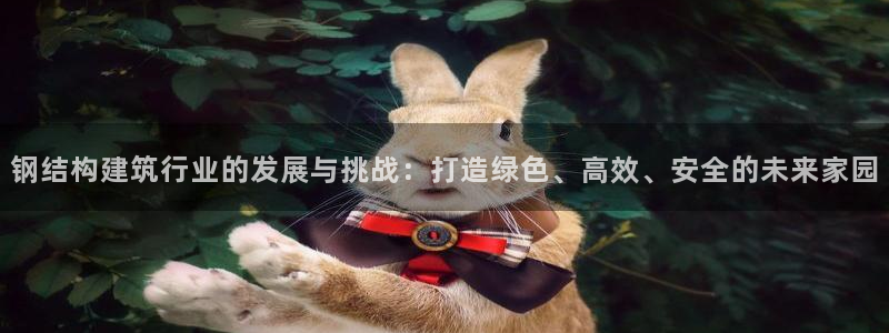 多多28管理集团：钢结构建筑行业的发展与挑战：打造绿色、高效、安全的未来家园