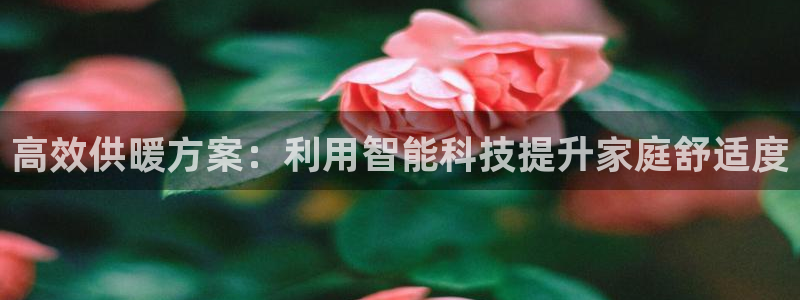 多多28系统